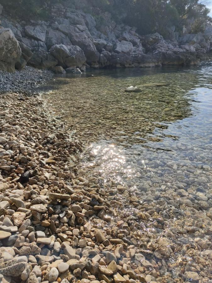 House Tuna Ustrine Εξωτερικό φωτογραφία